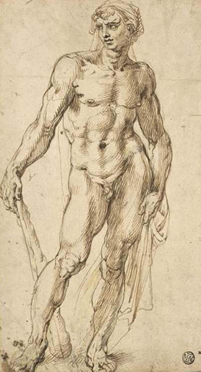 Hercules Michelangelo